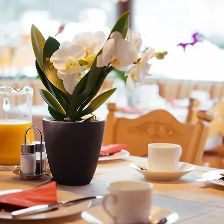Birkenhof Lermoos Premium Apart & Suites 4* Lermoos